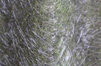 Palmstead fibreglass roof work